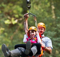 Zipline at Illawarra Fly - Hotel Gold Coast