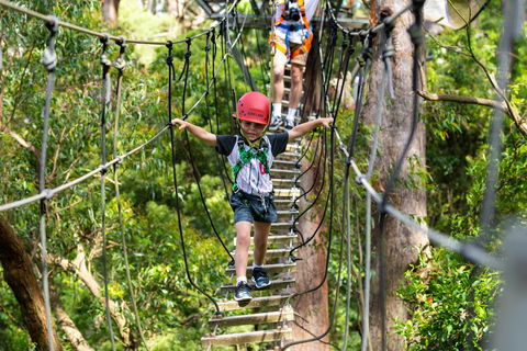 Zipline At Illawarra Fly - Hotel Gold Coast 1