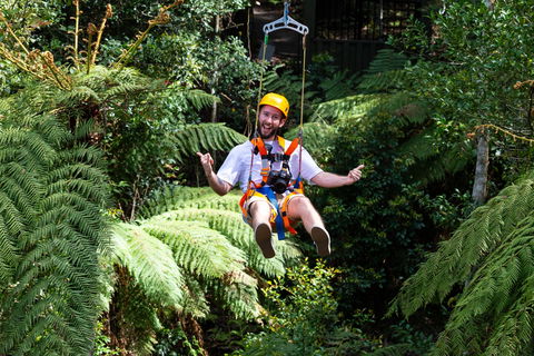 Zipline At Illawarra Fly - Hotel Gold Coast 2