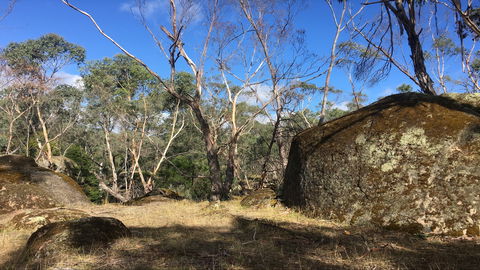 Bailey's Rocks - Dergholm State Park - Hotel Gold Coast 0