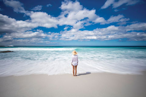 Bay Of Fires - Hotel Gold Coast 1