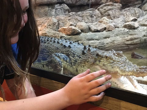 Canberra Reptile Zoo - Hotel Gold Coast 0