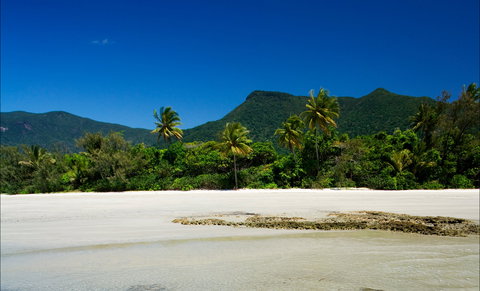 Cow Bay - Hotel Gold Coast 1