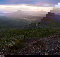 Cunninghams Gap and Spicers Gap Main Range National Park - Hotel Gold Coast