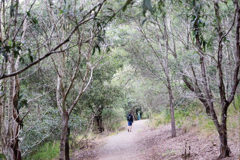 D'Aguilar National Park - Hotel Gold Coast 2