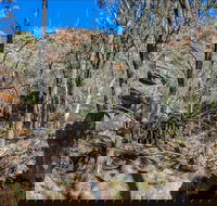 Eualdrie Walking Track - Hotel Gold Coast