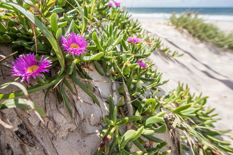 Fort Bribie - Hotel Gold Coast 0