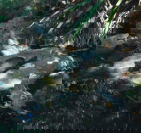 Howard Springs Nature Park - Hotel Gold Coast