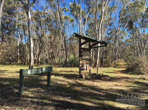 Kaiserstuhl Conservation Park - Hotel Gold Coast 0