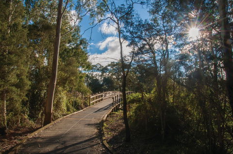 Koomba Park - Hotel Gold Coast 0
