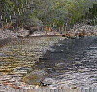 Lake Rowallan - Hotel Gold Coast