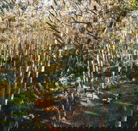 Leeuwin-Naturaliste National Park - Cowaramup - Hotel Gold Coast