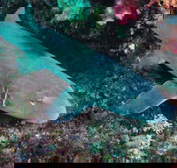Middle Reef Dive Site - Hotel Gold Coast