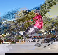 Millicent Skatepark - Hotel Gold Coast