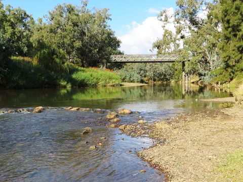 Namoi River And Woolshed Reserve - Hotel Gold Coast 0