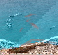 Nullarbor National Park - Hotel Gold Coast