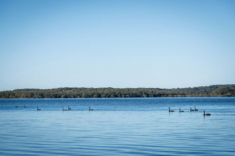 Queens Lake Picnic Area - Hotel Gold Coast 1