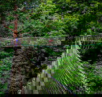 Thunderbird Park  - Tamborine Mountain Gold Coast Region - Hotel Gold Coast