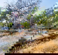 Timber Creek - Hotel Gold Coast