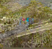Walpole Wilderness Discovery Centre - Hotel Gold Coast