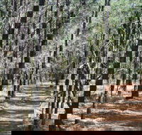 Yana-y Warruwi Walking Track - Hotel Gold Coast