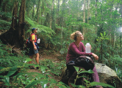 Binna Burra, Lamington National Park - Hotel Gold Coast 0
