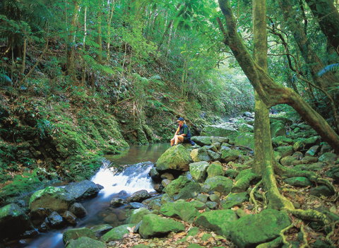 Binna Burra, Lamington National Park - Hotel Gold Coast 2