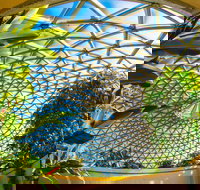 Brisbane Botanic Gardens Mount Coot-tha - Hotel Gold Coast