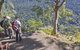 Caves Circuit, Lamington National Park - thumb 0