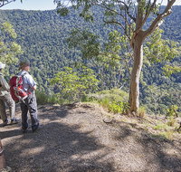 Caves circuit Lamington National Park - Hotel Gold Coast