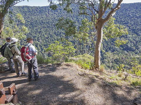 Caves Circuit, Lamington National Park - Hotel Gold Coast 0