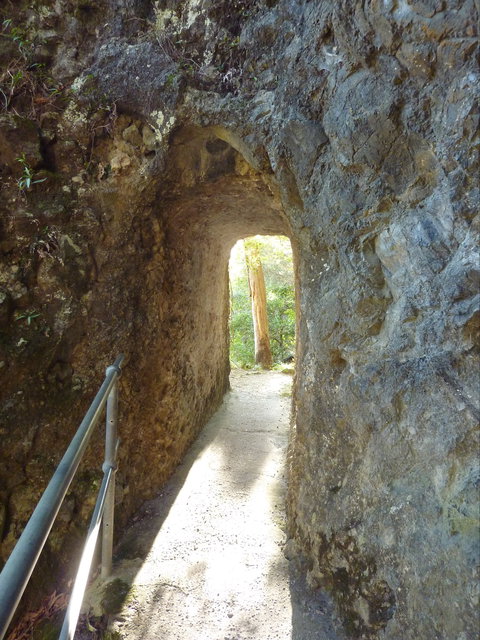 Caves Circuit, Lamington National Park - Hotel Gold Coast 1