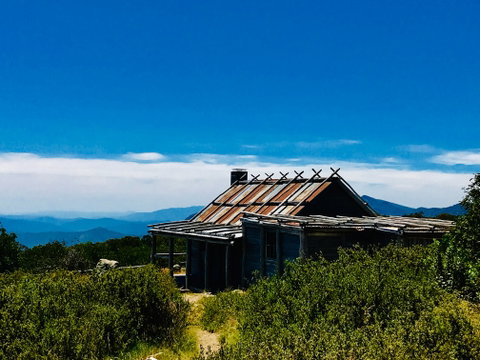 Craig's Hut - Hotel Gold Coast 1