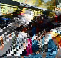 Crystal Kingdom - Hotel Gold Coast