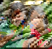 Currumbin Wildlife Sanctuary - Hotel Gold Coast