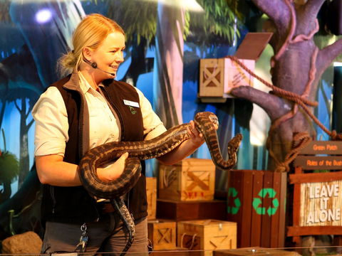 Currumbin Wildlife Sanctuary - Hotel Gold Coast 2