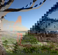 Evans Head Surf Shack - Hotel Gold Coast