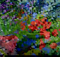 Ferry Artists Gallery - Hotel Gold Coast