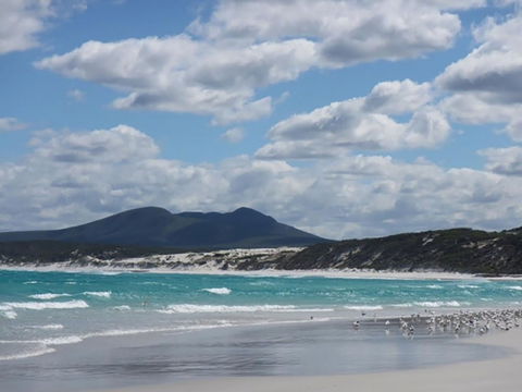 Hakea Walk Trail, East Fitzgerald National Park - Hotel Gold Coast 0