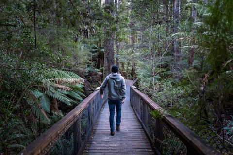 Hastings Caves And Thermal Springs - Hotel Gold Coast 1