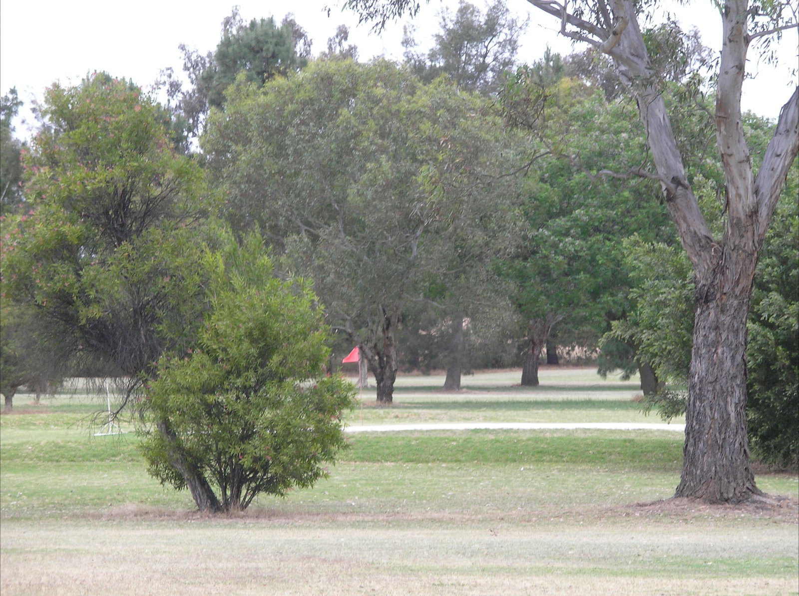 Bowna NSW Hotel Gold Coast