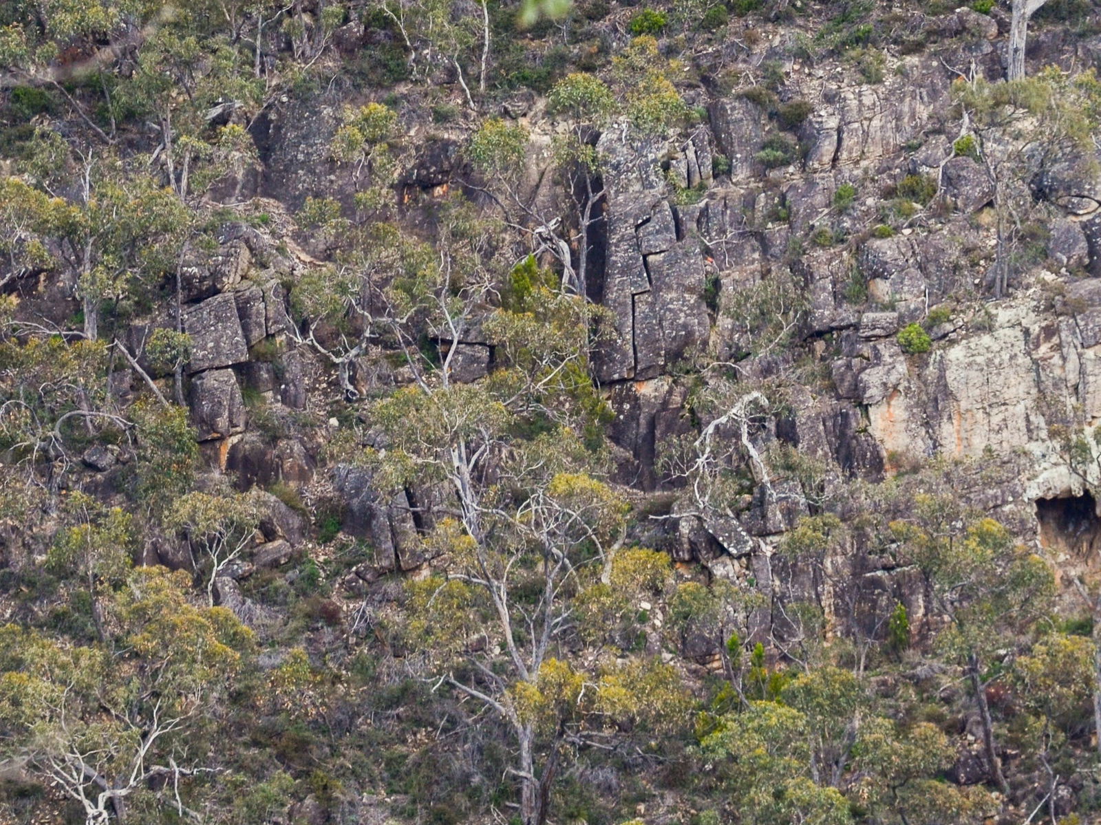 Horsnell Gully SA Hotel Gold Coast