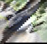 John Egan Pioneer Track - Hotel Gold Coast