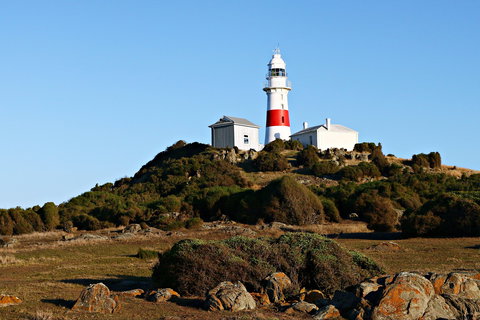 Low Head Foghorn - Hotel Gold Coast 1