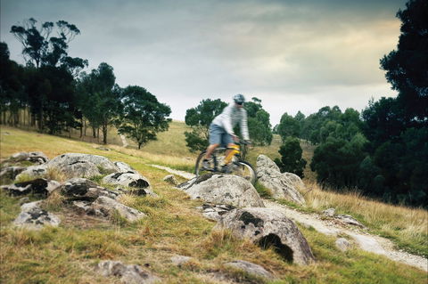 Lysterfield Park - Hotel Gold Coast 1