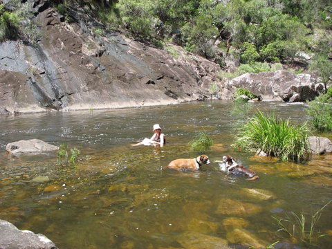 Mount Boss State Forest - Hotel Gold Coast 0