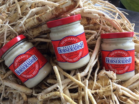 Newman's Horseradish Farm And Rusticana Wines - Hotel Gold Coast 0