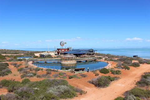 Ocean Park Aquarium - Hotel Gold Coast 1