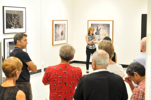 Pine Rivers Art Gallery - Hotel Gold Coast 1
