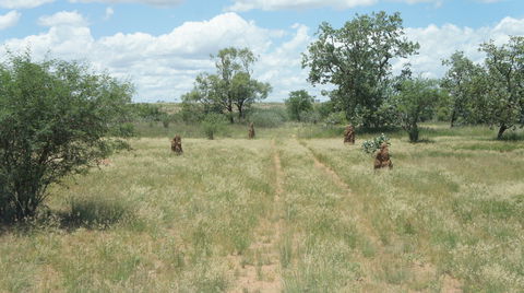 Powell Creek Telegraph Station - Hotel Gold Coast 2